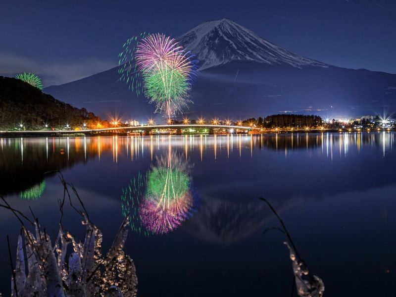 Tokyo Fuji Summer Fireworks and Peach Picking Tour - Who will enjoy this day trip most?