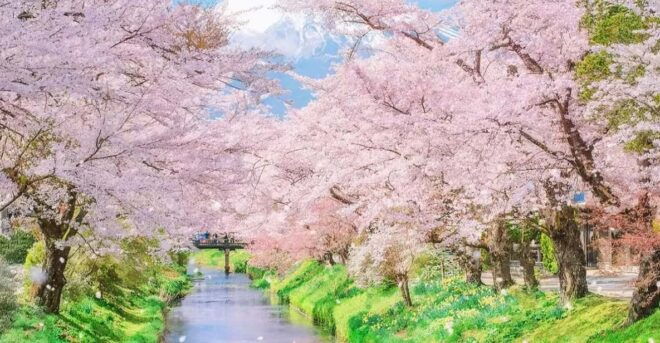 Tokyo: Fuji Wind & Ice Cave, Ninja Village & Hot Spring Tour - Cave Exploration
