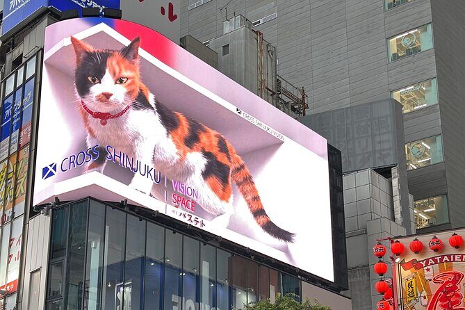 Tokyo Full Day Asakusa, Akihabara, Harajuku and Shinjuku - The Sum Up