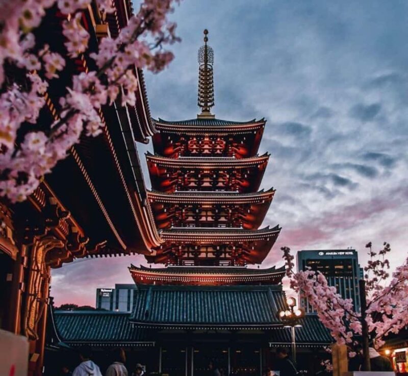 Tokyo Full Day Customizable Private Day Trip with Guide - FAQ