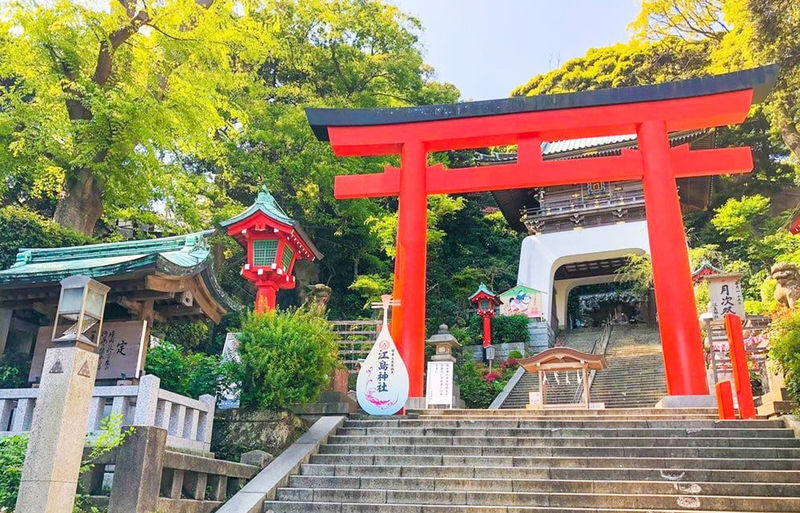 Tokyo Full-Day Enoshima, Kamakura & Yokohama Sightseeing Tour - Pace, weather, and practical planning