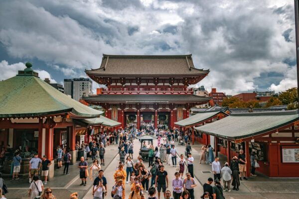 Tokyo: Full-day Immersive Private Tour by Premium Car - Optional Enhancements