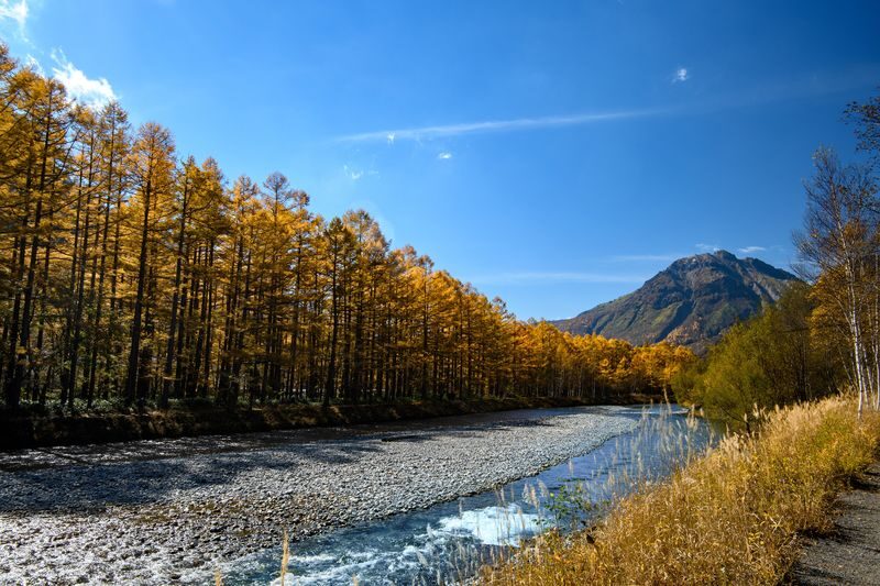 Tokyo Full-Day Kamikochi & Matsumoto Castle Discovery - Is $81.99 a fair price?