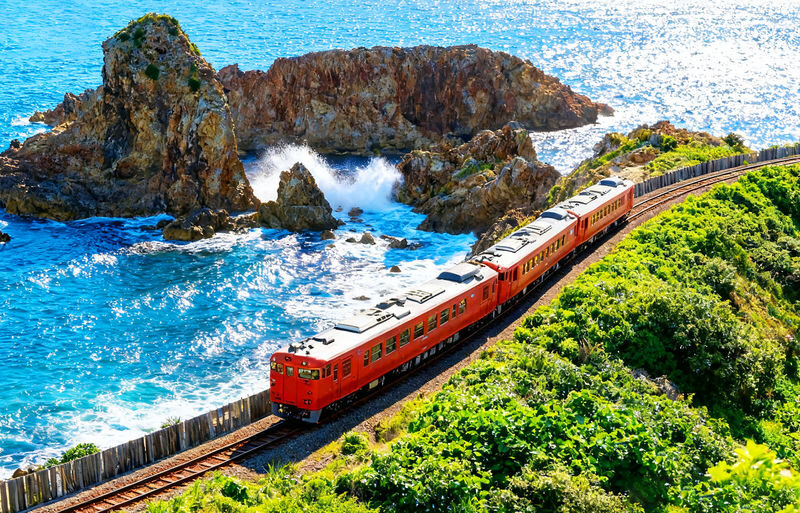 Tokyo Full-Day Mount Omuro, Izu Cactus Park & Jogasaki Coast Tour - Key points before you book