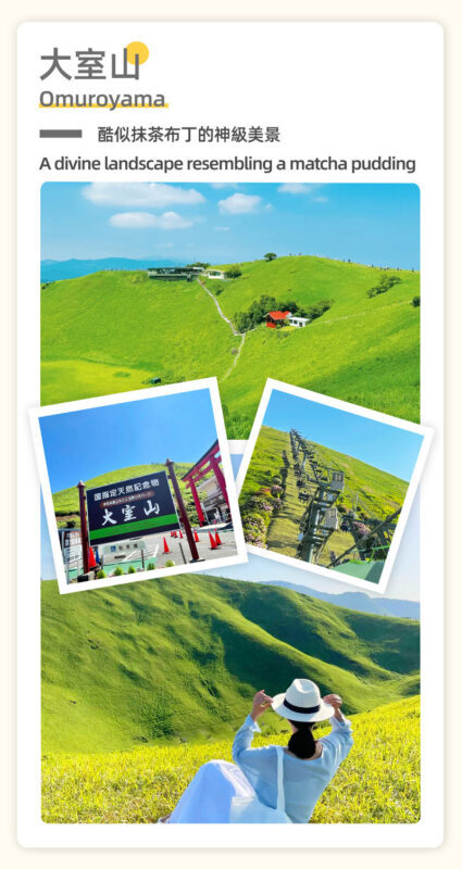 Tokyo Full-Day Mount Omuro, Izu Cactus Park & Jogasaki Coast Tour - What the coastal train adds, and what it may not