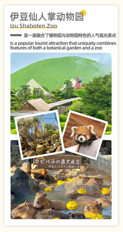 Tokyo Full-Day Mount Omuro, Izu Cactus Park & Jogasaki Coast Tour - Timing, weather and the real value of the price