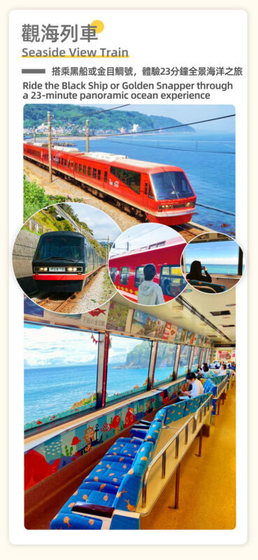 Tokyo Full-Day Mount Omuro, Izu Cactus Park & Jogasaki Coast Tour - Who should take this day trip?