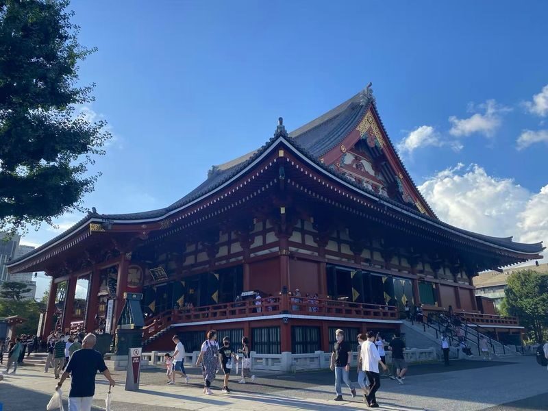 Tokyo Full-Day Private Car Tour with Customizable Itinerary - What the service feedback tells you
