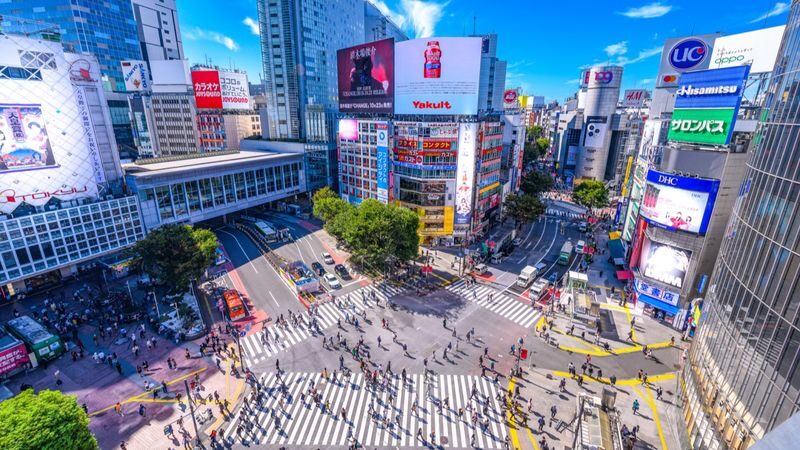 Tokyo Full-Day Private Car Tour with Customizable Itinerary - Booking details worth checking