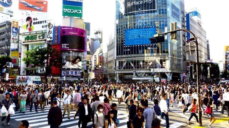 Tokyo Full-Day Private Customizable Tour with English guide - Good To Know