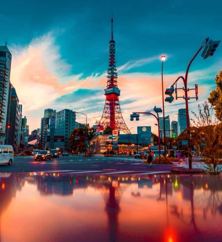 Tokyo Full-Day Private Customizable Tour with English guide - The Sum Up