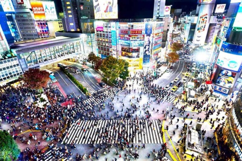 Tokyo Full-Day Private Customizable Tour with English guide - In-Depth Look at the Itinerary