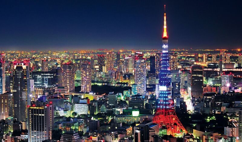 Tokyo Full-Day Private Customizable Tour with Expert Guide - Key points to know before you book