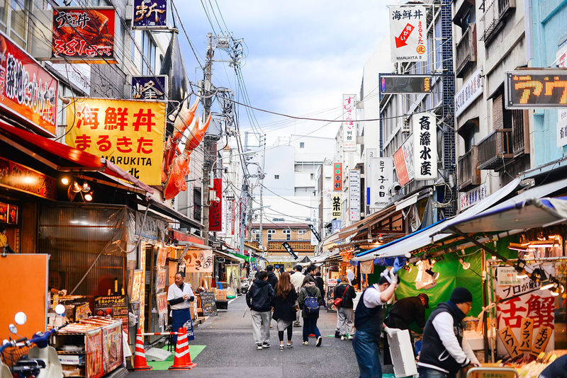 Tokyo Full-Day Private Customizable Tour with Expert Guide - A Tokyo day that can bend around your plans
