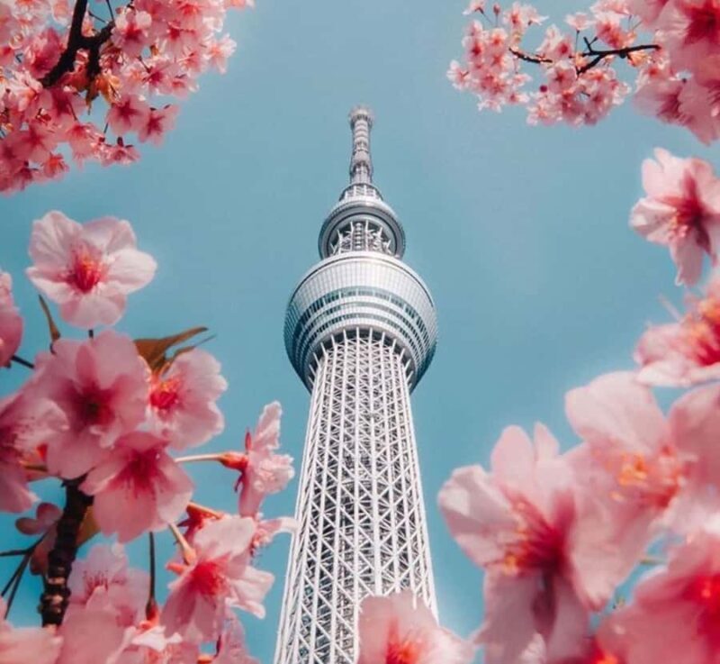 Tokyo Full Day Private Day Tour with English Speaking Guide - The Sum Up