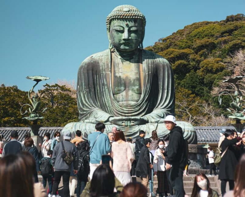 Tokyo: Full-day Private Kamakura and Enoshima Tour w/ Driver - Who This Tour Is Best For