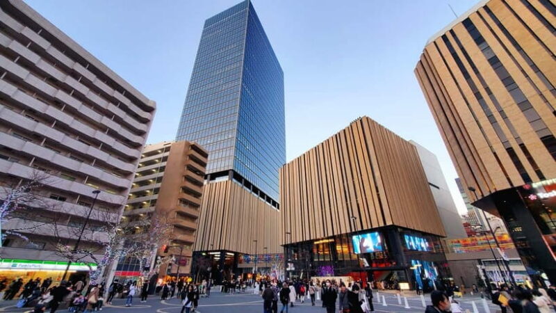 Tokyo Full-Day Private Tour (Customizable) - Good To Know