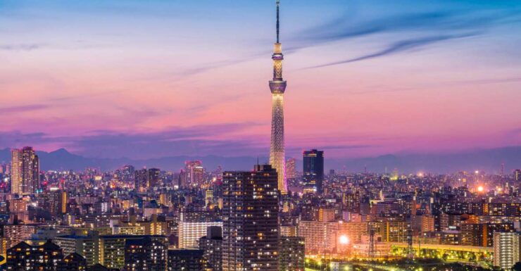 Tokyo: Full-Day Private Tour With English Guide - Activity Details