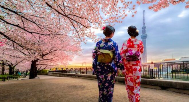 Tokyo: Full-Day Private Tour With English Guide - Full Description (Part 3)