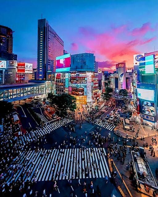 Tokyo: Full-Day Private Tour With English Speaking Guide - Important Information