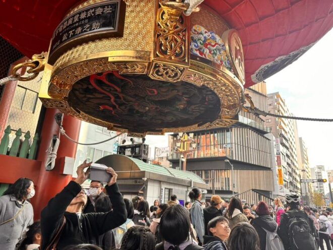 Tokyo Full Day Private Tour With Guide and Foods Included - Description