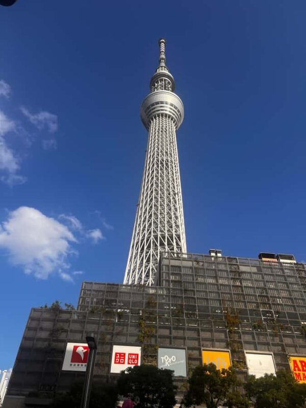 Tokyo Full-Day Sightseeing City Tour with English Driver - Good To Know