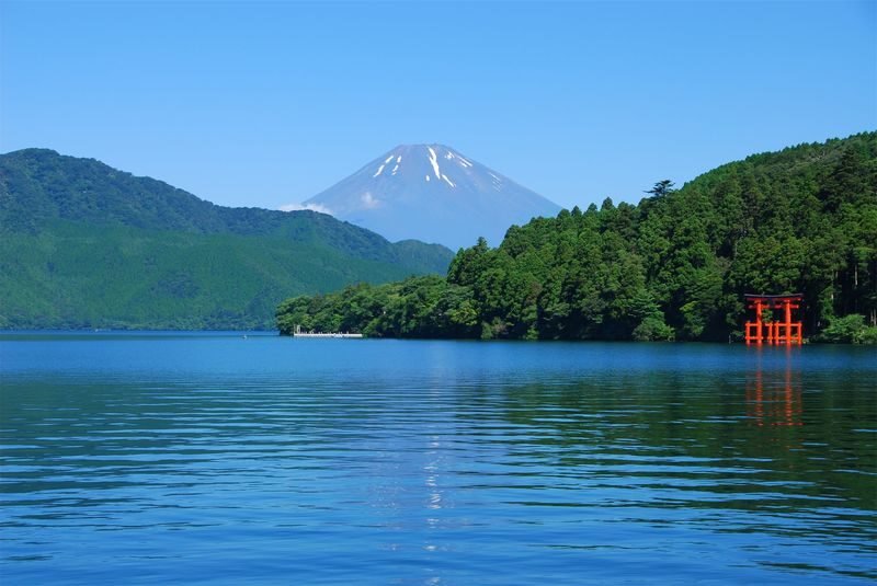 Tokyo Full-Day Small Group Fuji Safari Park & Izu Fruit Park Adventure with Lake Ashi Shrine - Who is likely to enjoy this outing