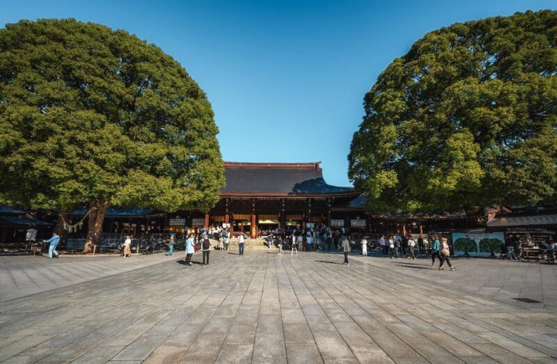 Tokyo full day Spanish speaking tour with hotel pick up and drop off. - Good To Know