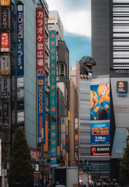 Tokyo full day Spanish speaking tour with hotel pick up and drop off. - Who Would Love This Tour?