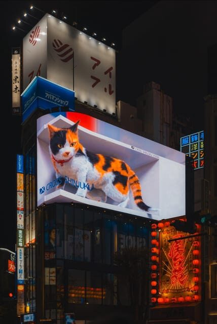 Tokyo full day Spanish speaking tour with hotel pick up and drop off. - A Comprehensive Look at the Tokyo Full Day Spanish Tour