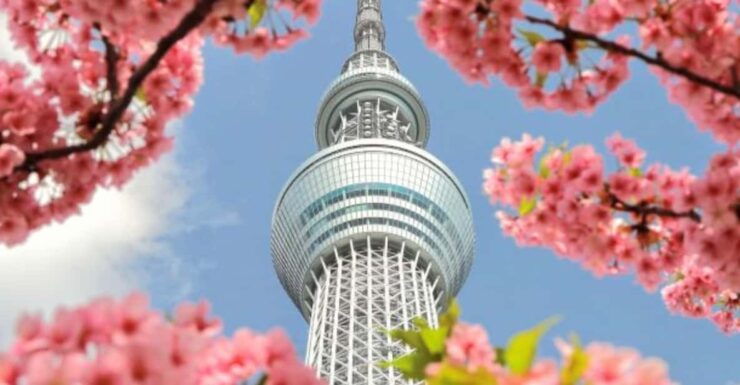 Tokyo: Full Day Tokyo City Private Tour Must Seeing Places - Itinerary Highlights