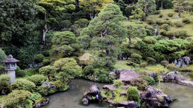 Tokyo: Full Day Tour, Private Guide&Customizable Itinerary - Booking Information