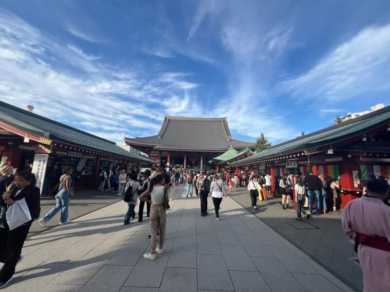 Tokyo Full-Day Tour with Private Car - Practical Considerations