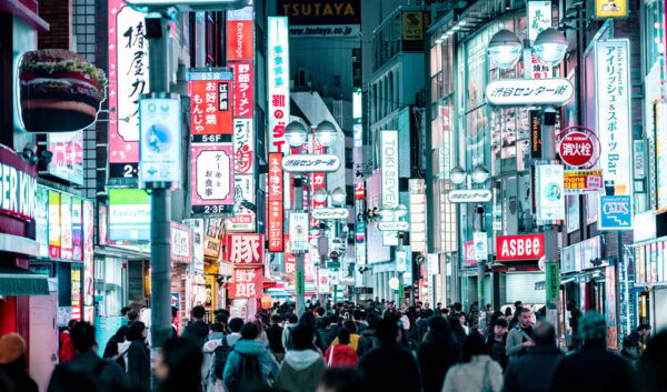 Tokyo Full-Day Trip With Daily Chauffeur - Important Guidelines
