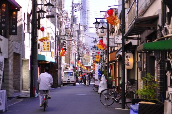 Tokyo Full-Day Trip With Daily Chauffeur - Booking Process