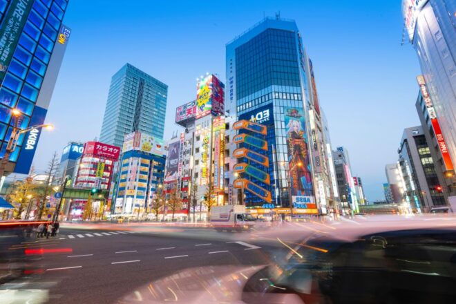 Tokyo: Full-Day Trip With Private Guide and Luxury Car - Full Description