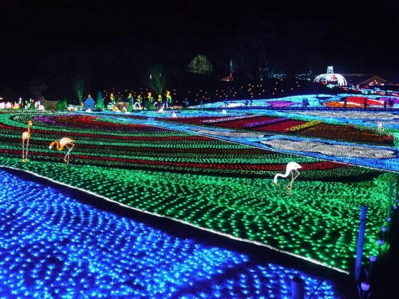 Tokyo: German Village Lighting and Farm Experience - Tokyo: German Village Lighting and Farm Experience — A Complete Review