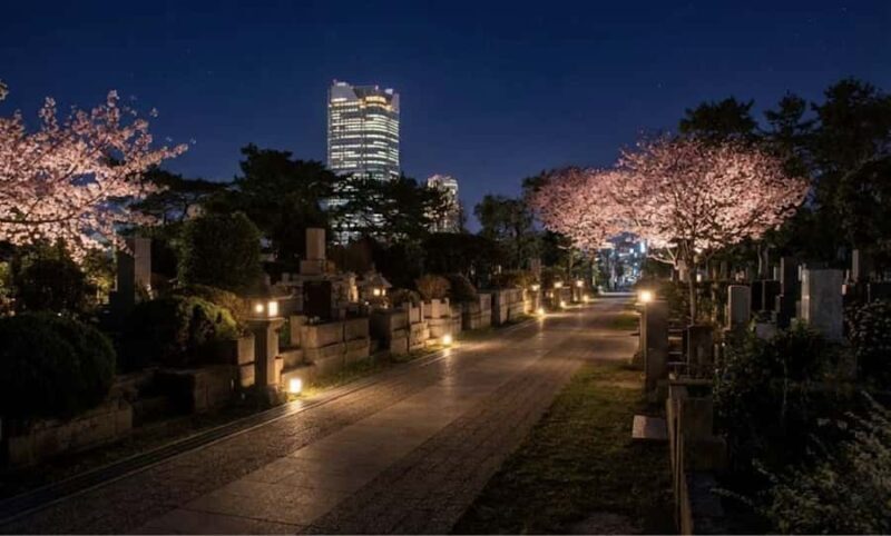 Tokyo Ghost Tour: Dark Tales, Urban Legends & Cemetery Night - Exploring Tokyo’s Dark Side: A Detailed Review