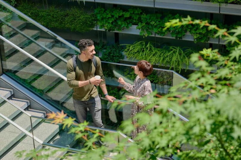 Tokyo: Ginza Architecture Small-Group Guided Tour - The Value of This Tour