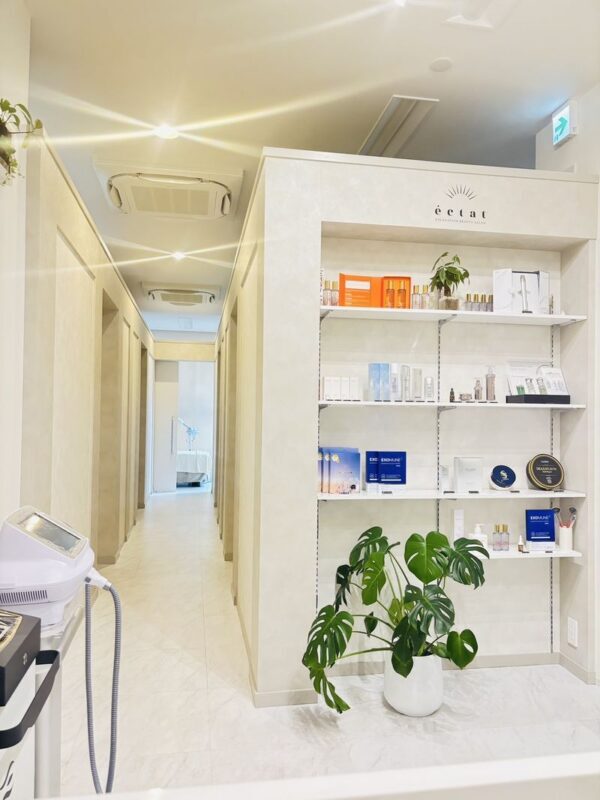 Tokyo Ginza High-end Beauty Treatment Experience Beauty Salon Eclat - Is the treatment worth the price?