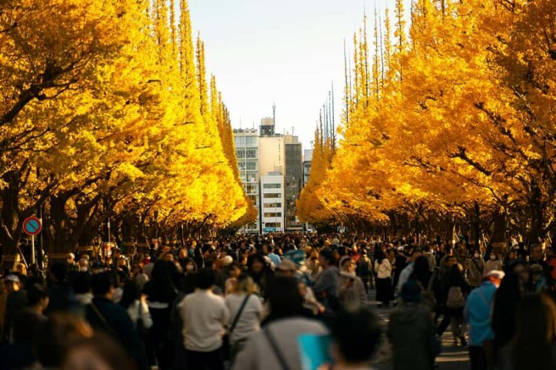 Tokyo: Golden Ginkgo Avenue Autumn Leaves Walk - Introduction