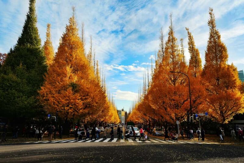 Tokyo: Golden Ginkgo Avenue Autumn Leaves Walk - Why You Should Consider This Tour