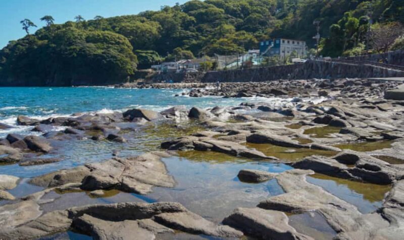 Tokyo: Gotemba Outlet Shopping Day Trip with Beer - Overall Value and Experience