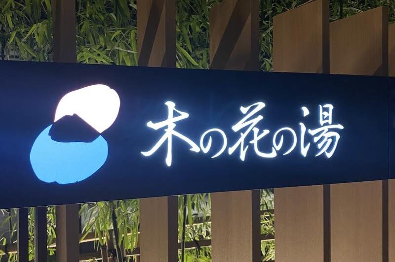 Tokyo Gotemba Premium Outlets and Mount Fuji Hot Spring Private Day Tour - A private ride makes the long day simpler