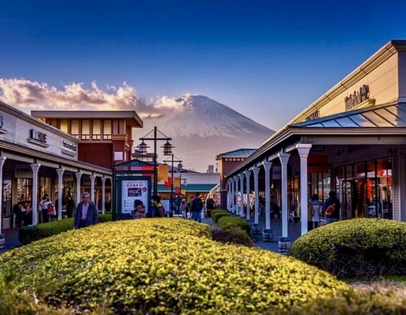 Tokyo Gotemba Premium Outlets Private Full-Day Tour - What the driver reports tell you about the ride
