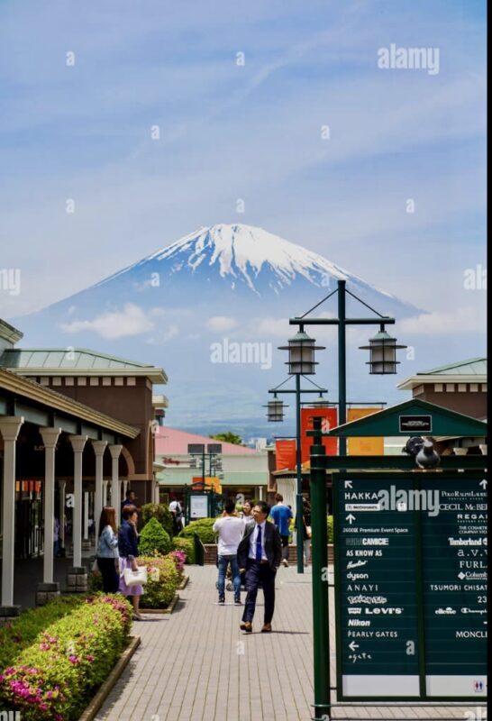 Tokyo Gotemba Premium Outlets Private Full-Day Tour - Is $341.35 good value for your group?