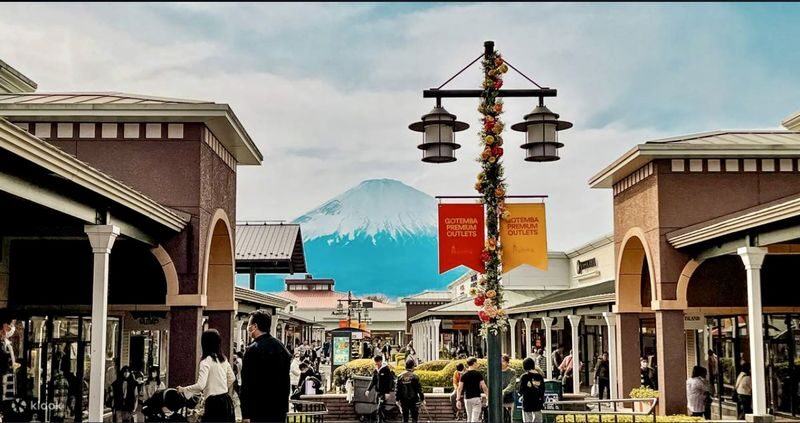 Tokyo Gotemba Premium Outlets Private Full-Day Tour - Who should choose this private Gotemba trip?