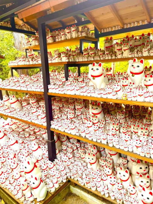 Tokyo: Gotokuji Cat Temple, Shinjuku Cat Cafe & 3D Cat Tour - Final Thoughts: Is This Tour for You?