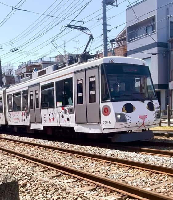 Tokyo: Gotokuji Cat Temple, Shinjuku Cat Cafe & 3D Cat Tour - FAQ