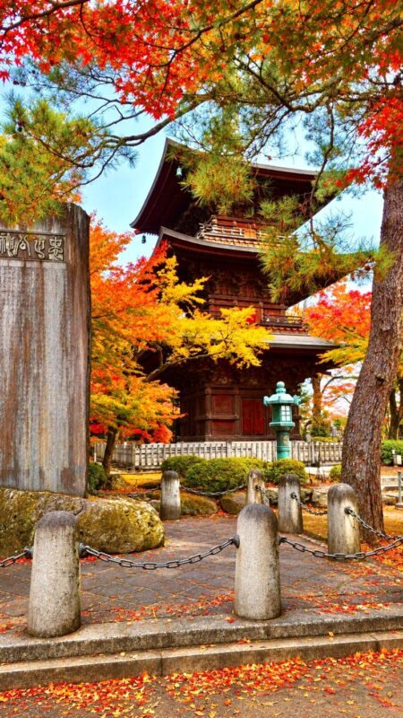 Tokyo Gotokuji Lucky Cat Temple Half-Day Walking Tour - A half-day walk, not a quick temple visit